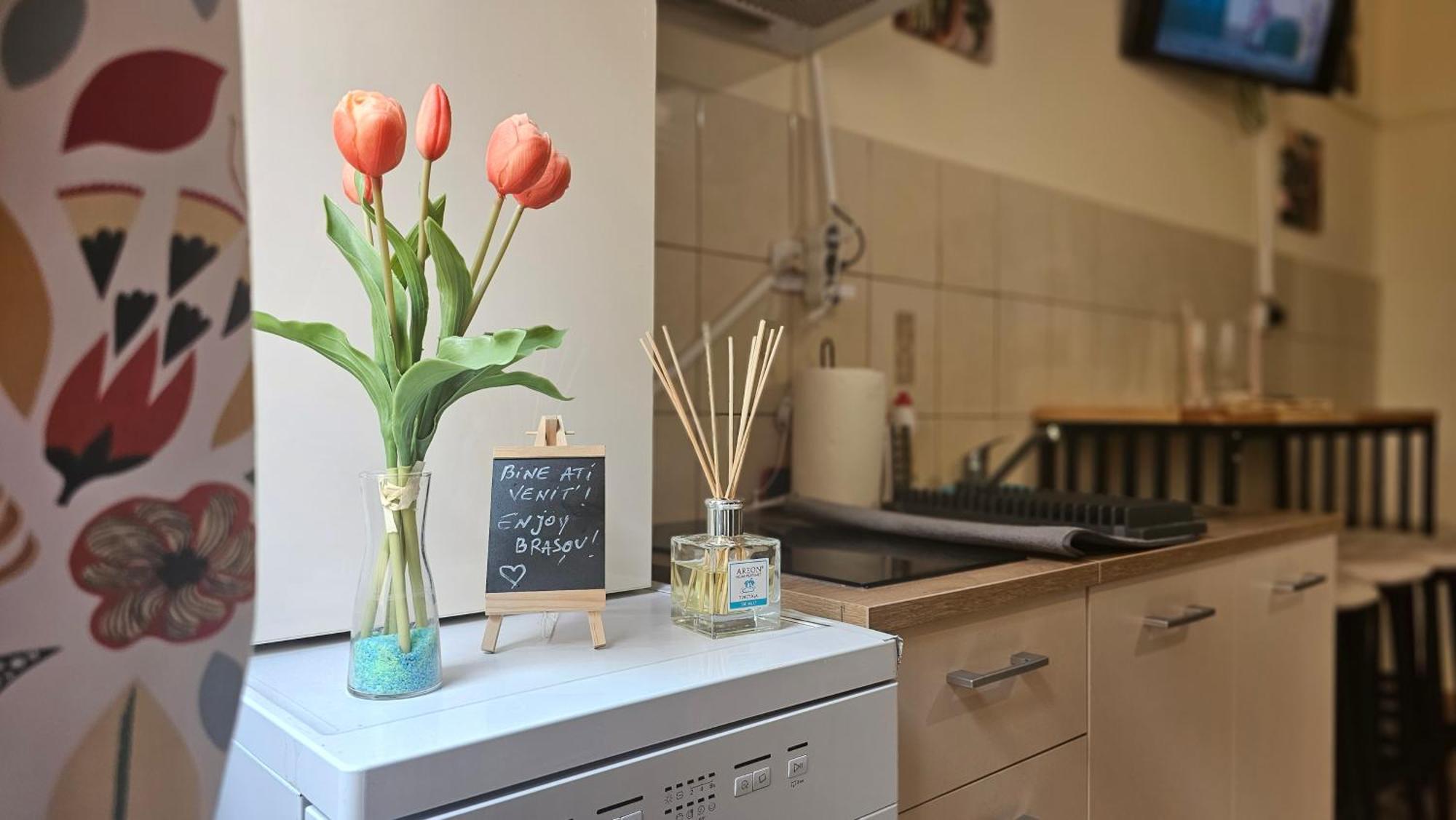 Happy Mood Apartment 5 Брашов Екстер'єр фото